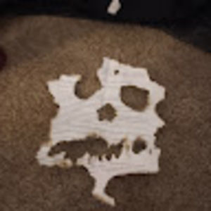 Meet your Posher, Isaac